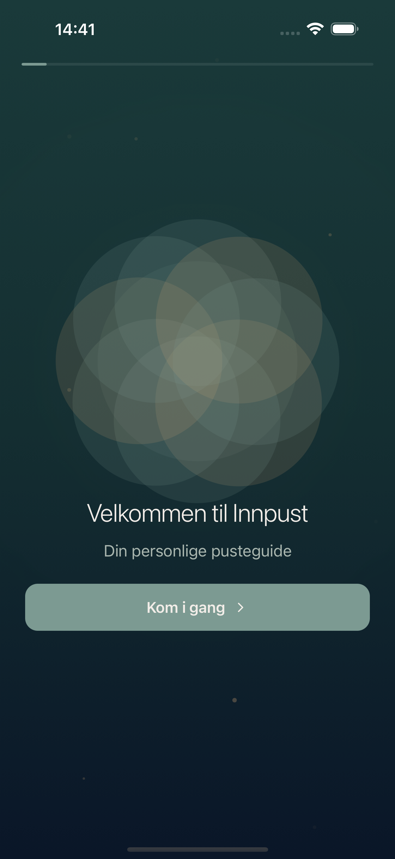 Innpust skjermbilde 1